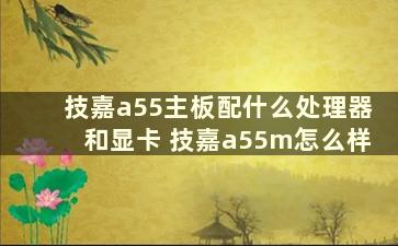 技嘉a55主板配什么处理器和显卡 技嘉a55m怎么样